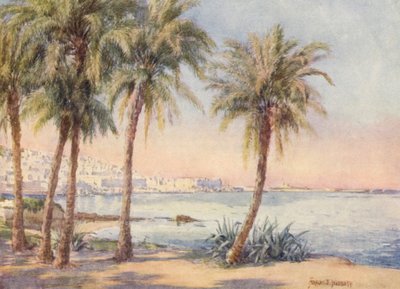 Algier vom Jardin d