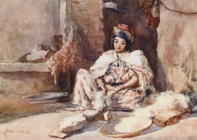 Wolle kämmen von Frances Nesbitt