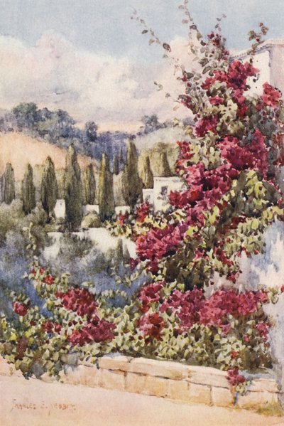 Auf meinem Balkon, Algier von Frances Nesbitt