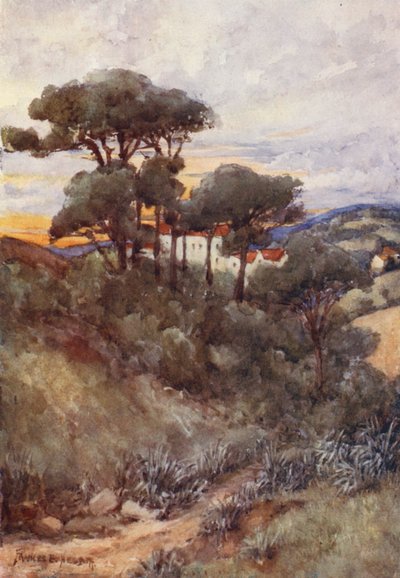 Steinkiefern, Algier von Frances Nesbitt