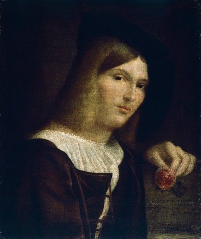 Porträt eines jungen Mannes mit einer Rose von Francesco Torbido