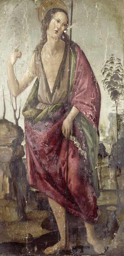 Johannes der Täufer von Francesco Botticini