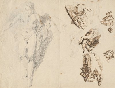 Apollo und Studien der eigenen Hand des Künstlers (recto) von Francesco Fontebasso