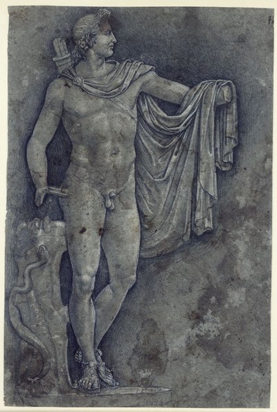 Apoll vom Belvedere von Francesco Francia