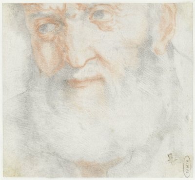 Kopf eines alten Mannes mit Bart von Francesco Furini (attributed to)