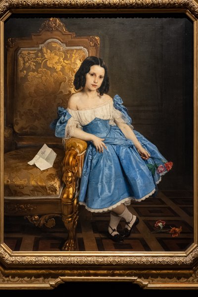 Porträt der Gräfin Luigia Negroni Prati Morosini von Francesco Hayez