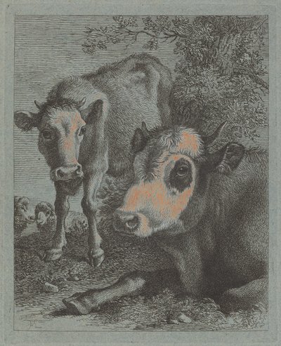 Liegende Kuh und Kalb im Freien, 1758-1759 von Francesco Londonio