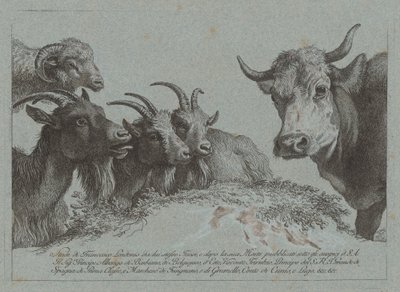 Studie von Köpfen: Drei Ziegen, ein Ochse und ein Widder von Francesco Londonio