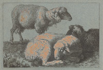 Zwei liegende Schafe und ein stehendes Schaf, 1757-1758 von Francesco Londonio