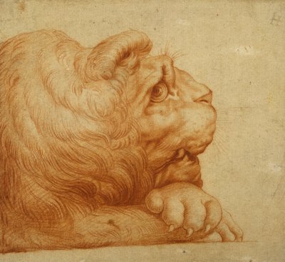 Ein Löwenkopf im Profil von Francesco de Rossi Salviati Cecchino