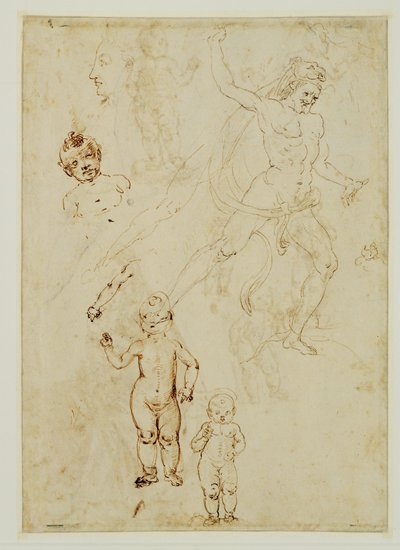 Herkules; drei Kinder; männlicher Kopf nach links gedreht von Francesco di Simone (attr. to)