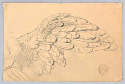 Studie eines Flügels von Francis Augustus Lathrop