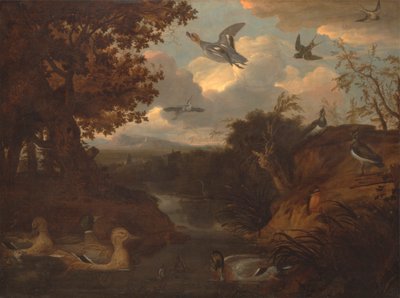 Enten und Andere Vögel an einem Bach in einer Italienischen Landschaft von Francis Barlow