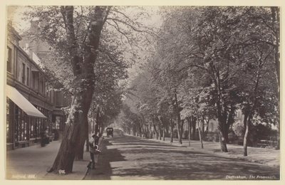 Cheltenham, die Promenade, 1860-94 von Francis Bedford