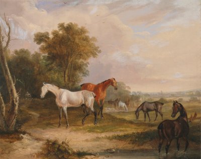 Pferde beim Grasen: ein grauer Hengst mit Stuten auf einer Wiese von Francis Calcraft Turner