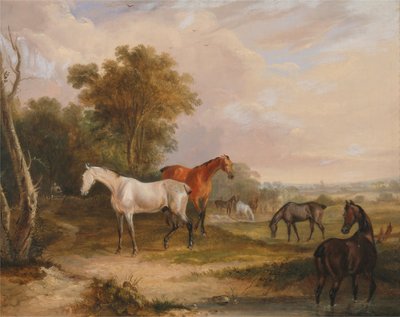 Pferde beim Grasen: Ein grauer Hengst grast mit Stuten auf einer Wiese von Francis Calcraft Turner