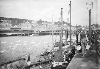 Hafen von Newlyn und Fischkai, Cornwall von Francis Frith