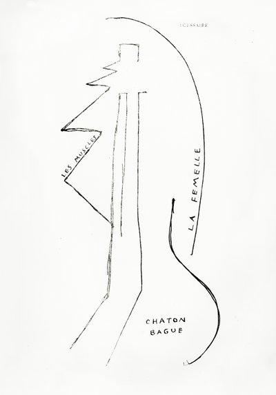 Poemes et Dessins de la Fille nee sans Mere, Nr.23, veröffentlicht von Imprimeries Reunies, Lausanne von Francis Picabia