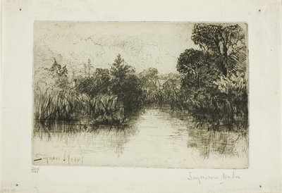 Shere Mill Pond, Nr. I (kleine Platte) von Francis Seymour Haden