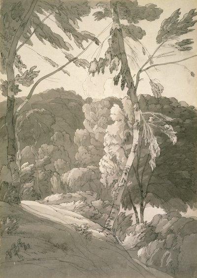 Nr. 1091 Eine bewaldete Landschaft (Eine Szene in Indinowle), 1783 von Francis Towne