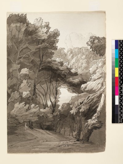 Eine bewaldete Landschaft, 1788 von Francis Towne