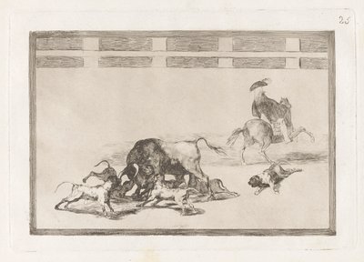 Sie lassen Hunde auf den Stier los, Platte 25 aus La tauromaquia von Francisco de Goya