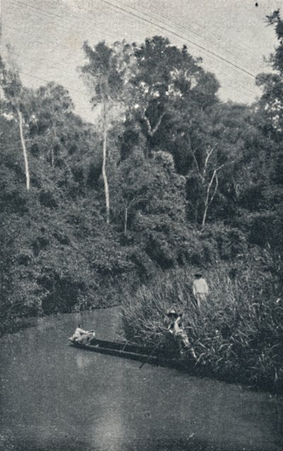 Rio de S. Anastacio, 1895 von Francisco Henszler