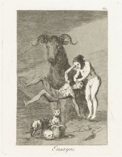 Prüfungen von Francisco de Goya