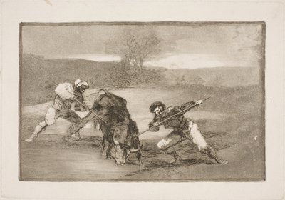 Eine andere Art zu Fuß zu jagen von Francisco de Goya