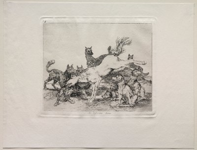 Die Schrecken des Krieges: Er verteidigt sich gut von Francisco de Goya
