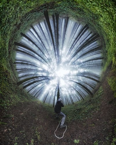 Spiralförmiger Waldweg von Francois Casanova