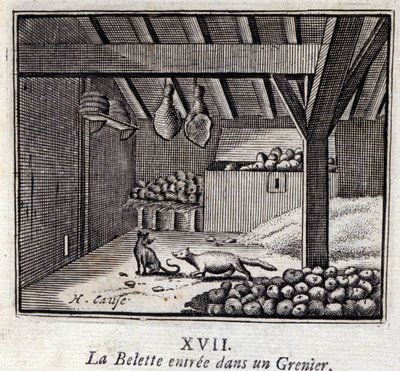 Das Wiesel betritt einen Speicher. Fabeln von Jean de La Fontaine. Illustration von François Chauveau. Ausgabe von 1728. von Francois Chauveau