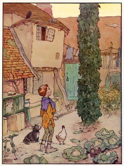 Hans und die Bohnenranke von Frank Adams