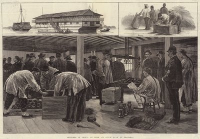 Skizzen in China, an Bord eines Opiumschiffs in Shanghai von Frank Dadd