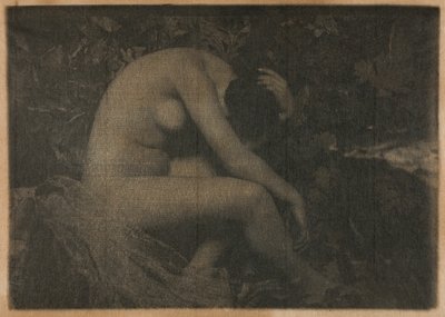 Die Grille von Frank Eugene