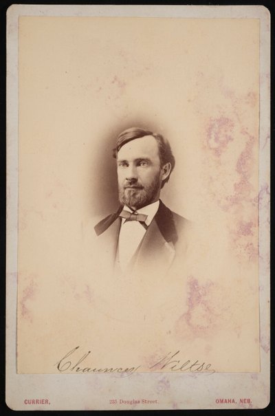 Porträt von Chauncey Wiltse 1834-1894, 1875-1876 von Frank F Currier