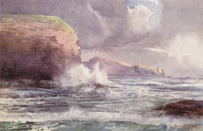 Neuseeland: Te-Wenga von Frank H Wright