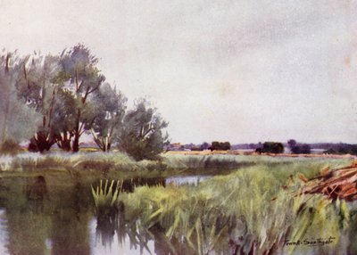 Norfolk Broads: Marschheu - Transport auf der Yare von Frank Southgate