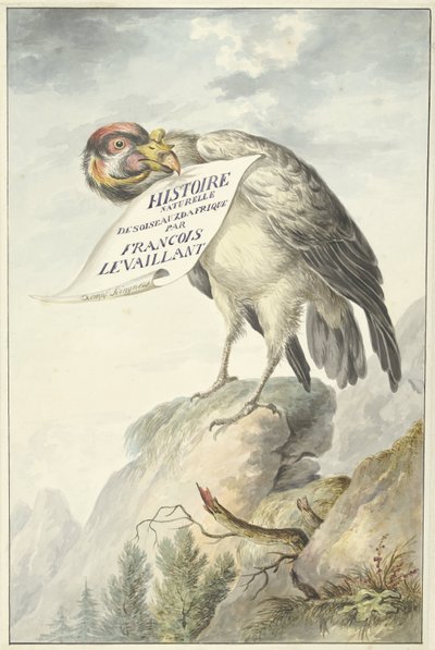 Bartgeier mit einem Blatt Papier im Schnabel von François Levaillant (circle of)