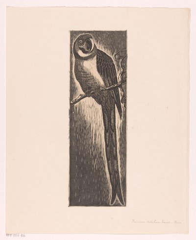 Papagei auf einem Ast (original title on object) von Frans Bosen