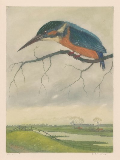 Eisvogel auf einem Ast in einer Wiesenlandschaft von Frans Everbag (signed by artist)