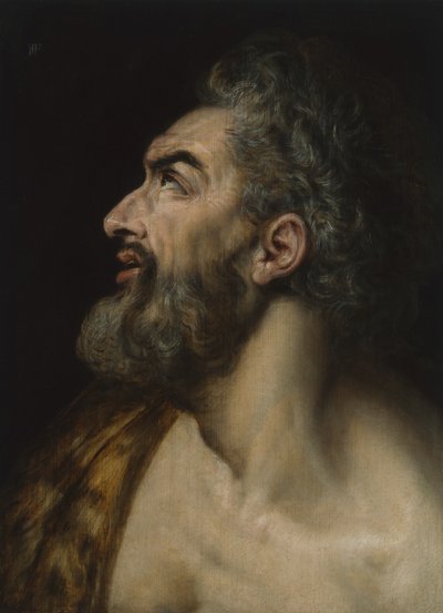 Studienkopf eines bärtigen Mannes, ca. 1565 von Frans Floris