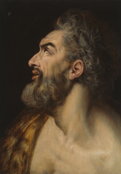 Studienkopf eines bärtigen Mannes von Frans Floris I