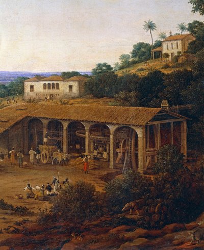 Zuckerrohrmühlen in Brasilien von Frans Post