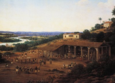 Zuckerrohrmühlen in Brasilien von Frans Post
