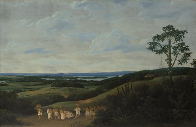 Eine brasilianische Landschaft, 1650 von Frans Post