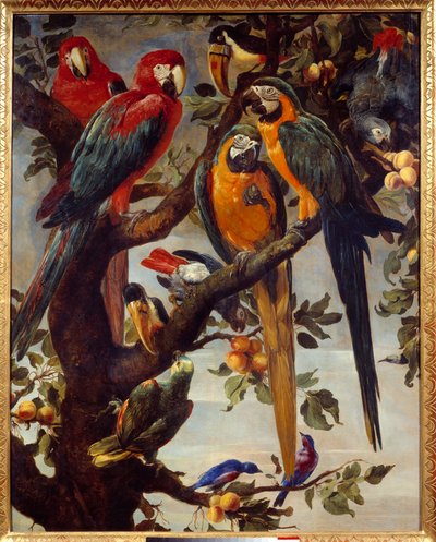 Papageien und andere Vögel, Gemälde von Frans Snyders von Frans Snyders