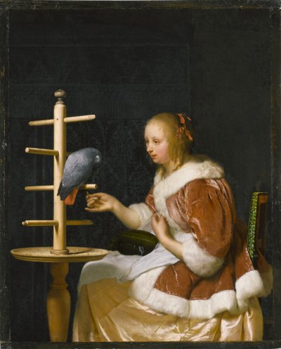 Junge Frau füttert einen Papagei, 1663 von Frans van Mieris the Elder