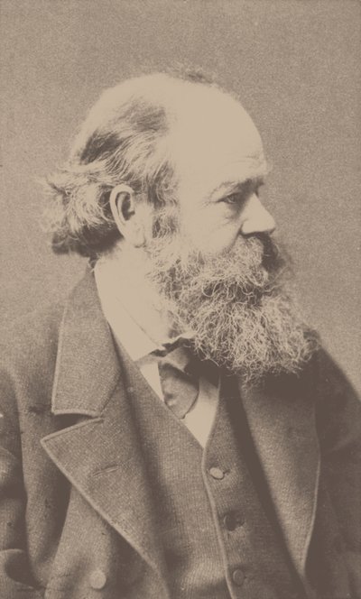 Porträt des Komponisten Robert von Hornstein 1833-1890 von Franz Hanfstaengl