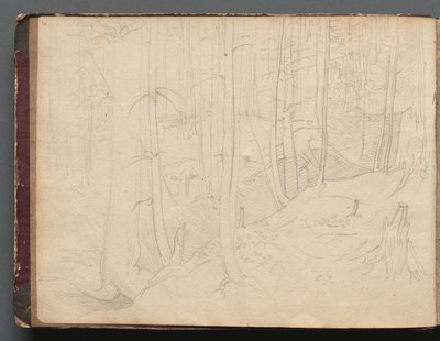 Album mit Ansichten von Rom und Umgebung, Landschaftsstudien: Römische Landschaft von Franz Johann Heinrich Nadorp